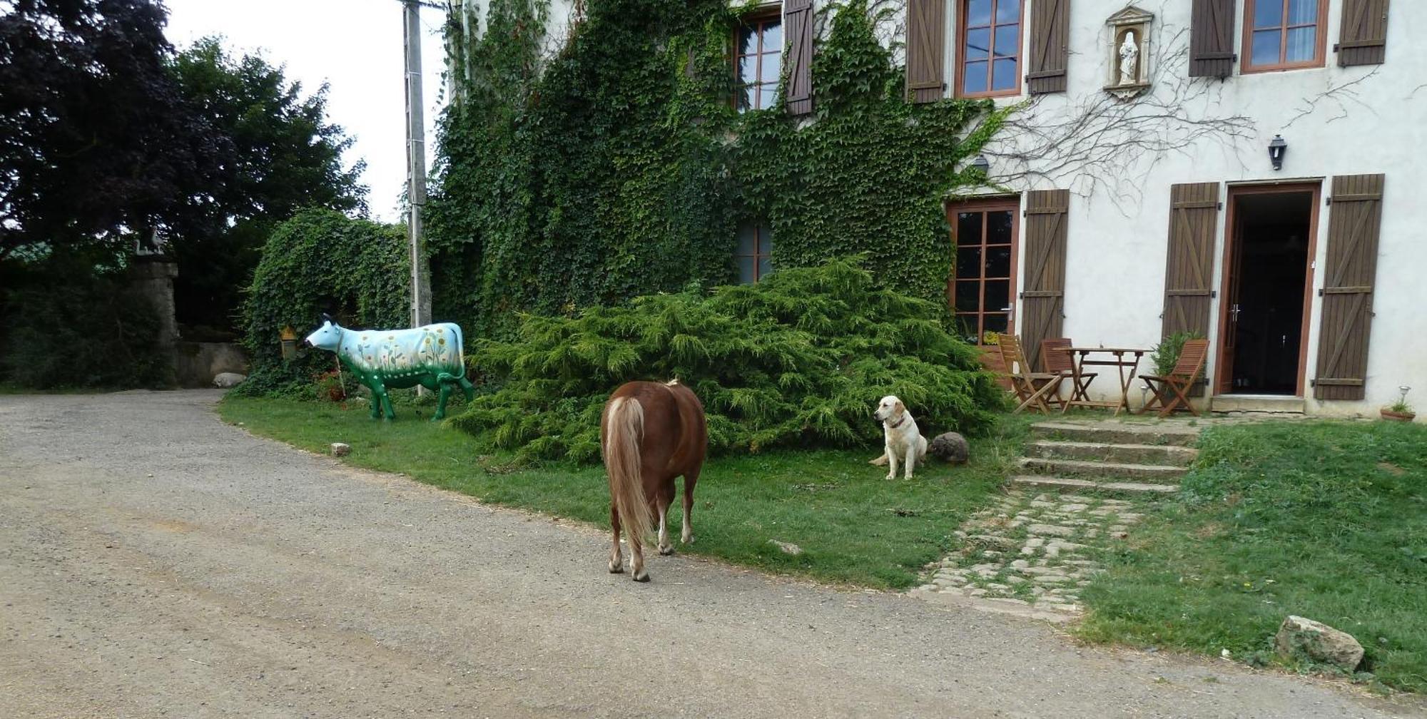 Bed and Breakfast Ferme Du Montheu Dommartin sous Amance Esterno foto